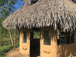 Ayahuaska