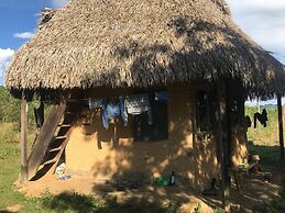 Ayahuaska