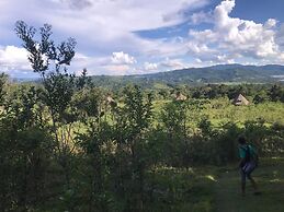 Ayahuaska