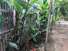 Ayahuaska