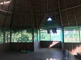 Ayahuaska