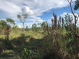 Ayahuaska