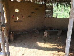 Ayahuaska