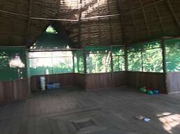 Ayahuaska