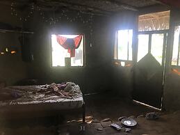 Ayahuaska