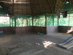 Ayahuaska