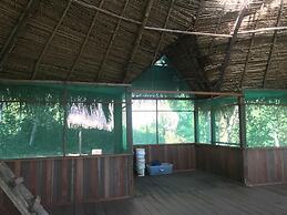 Ayahuaska