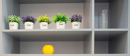 Handy Beachfront Apartment