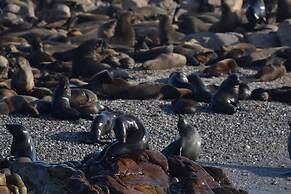 Walkerbay Accommodation