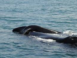 Walkerbay Accommodation
