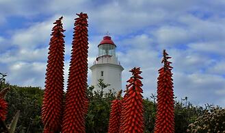 Walkerbay Accommodation