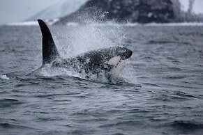 Henningsvær Guesthouse
