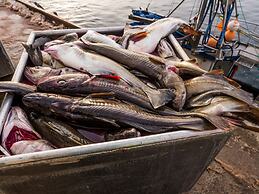Henningsvær Guesthouse