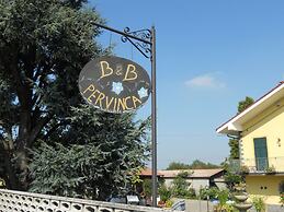B&B Pervinca