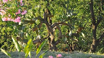 Il Terrazzo sul Sinni