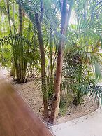 Pacha Tulum Boutique Hotel