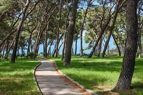 Best Location Apartments