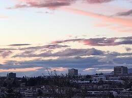 ICELAND SJF Villa , Hot tub & Outdoor Sauna Amazing Mountains View - 1