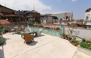 Terrace Garden