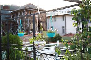 Terrace Garden