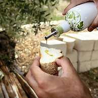 Tenuta Olive Alive