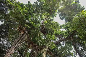 Fuzhou Jeurong Hotel