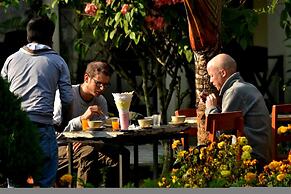 Traveller Jungle Camp