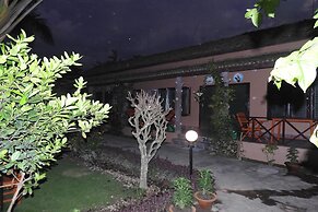 Traveller Jungle Camp