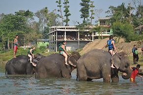 Traveller Jungle Camp