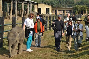 Traveller Jungle Camp