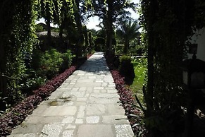 Traveller Jungle Camp