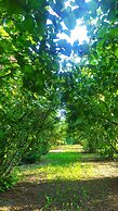 B&B Naturin - Cascina Colombaro