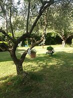 B&B Villa due Pini