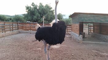 Anthidon Nature Estate & Farm