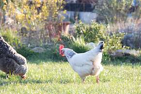 Norfolk Accommodation - mYminiBreak