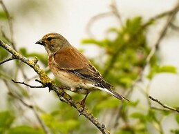 Norfolk Accommodation - mYminiBreak