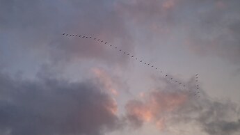 Norfolk Accommodation - mYminiBreak