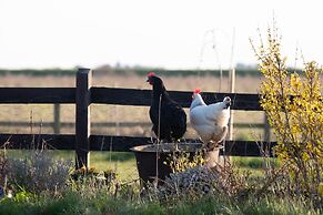 Norfolk Accommodation - mYminiBreak