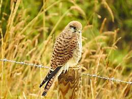 Norfolk Accommodation - mYminiBreak