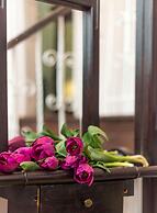 Good Living Bucharest