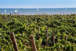 Calamoni di Favignana Apartments & Wine Experience