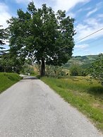 La Cartiera dei Benandanti