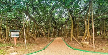 OYO 3586 SSR Luxury Rooms