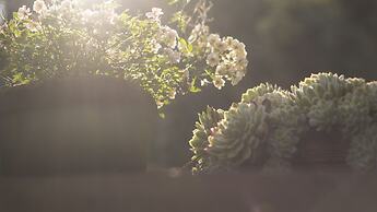 Pousada Refúgio Mantiqueira