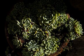 Pousada Refúgio Mantiqueira