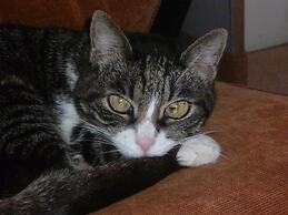 B&B La Terrazza Sul Po