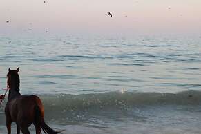 Beach Resort - Salalah