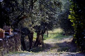 Agriturismo Il Bellini