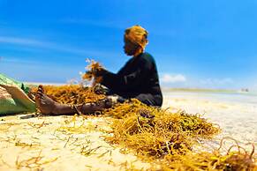 The Island - Pongwe Lodge - Adults Only