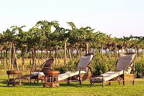 Hotel Vendimia Parador